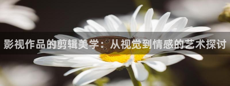 麻豆免费影视