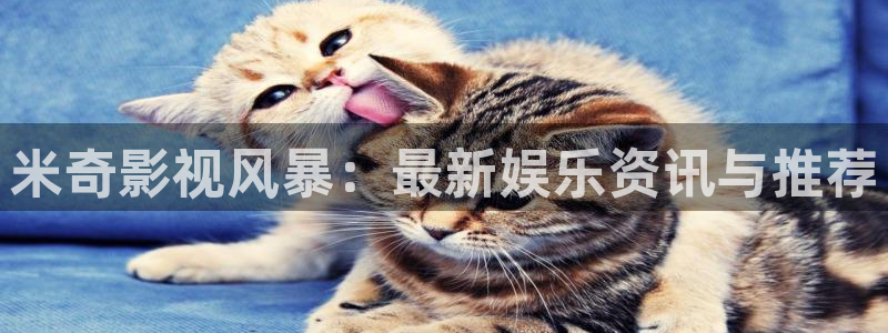 麻豆 影视