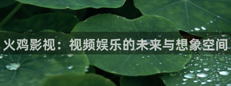 麻豆电影,在线观看：火鸡影视：视频娱乐的未来与想象空间