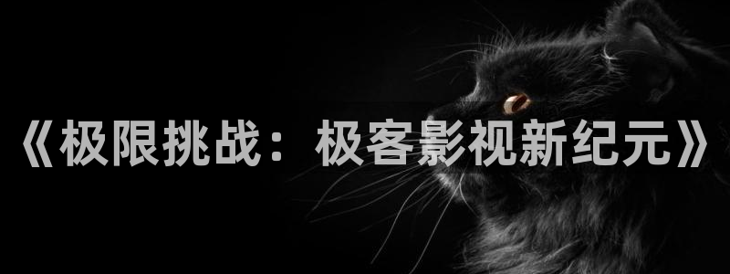 麻豆av电影在线看：《极限挑战：极客影视新纪元》