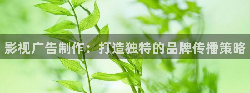 国产麻豆日韩欧美久久：影视广告制作：打造独特的品牌传播策略