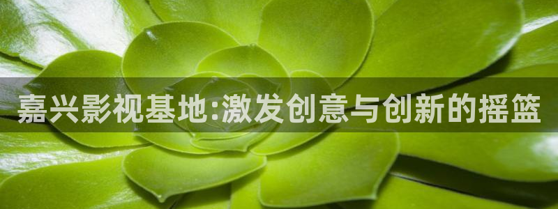 麻豆a免费视频：嘉兴影视基地:激发创意与创新的摇篮
